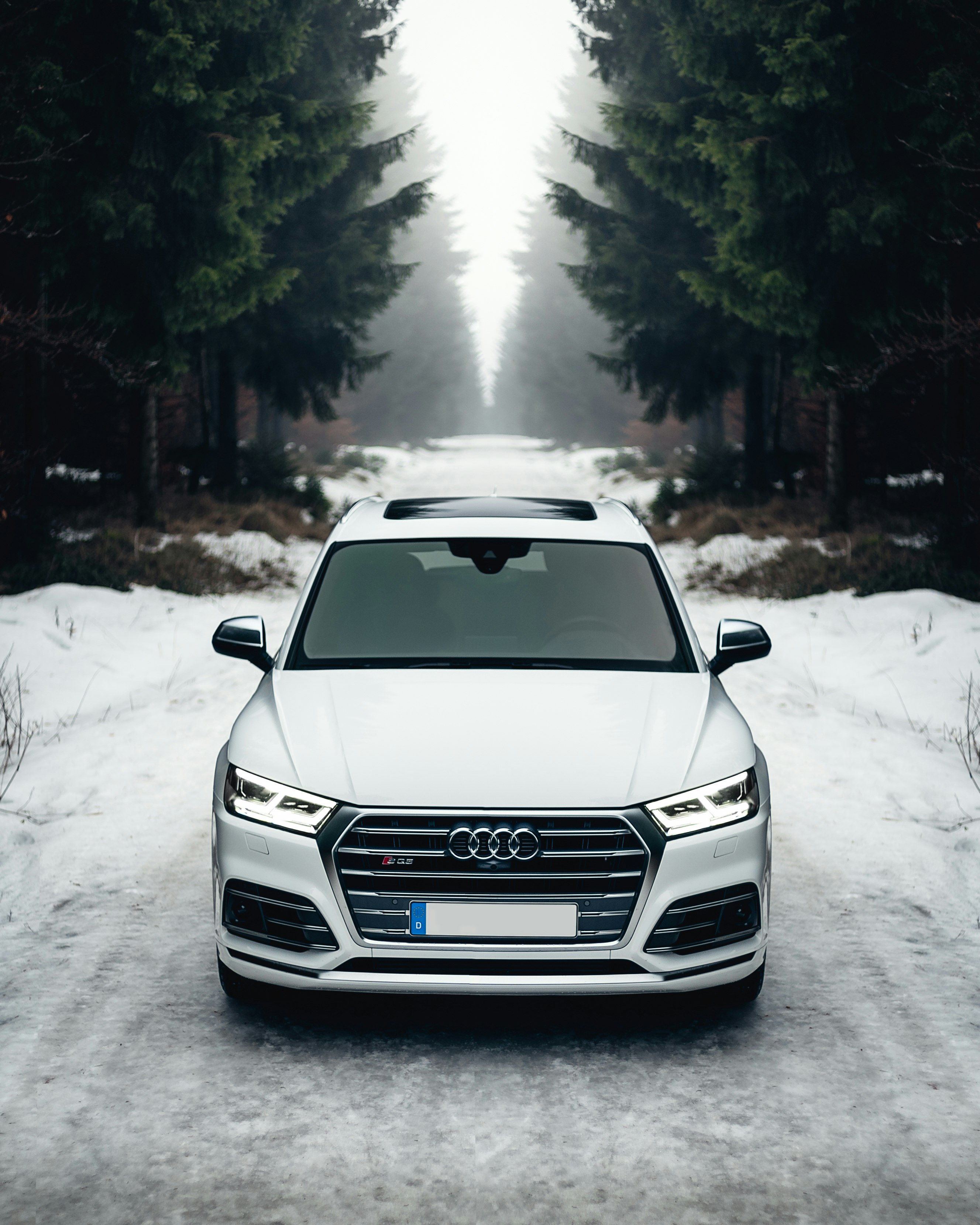 white Audi A8 on the road surrounded of trees